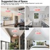 Enclosed Ceiling Fan with Light and Remote Adjustable Timing Mini