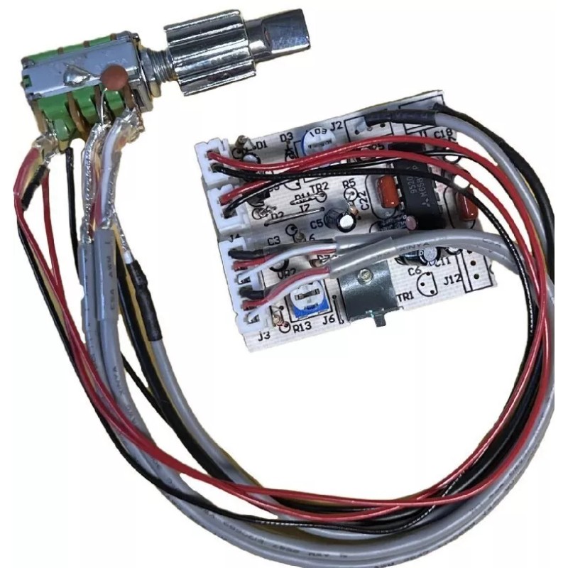 Workman BB3 Micro Size Tornado Echo Board Dual Control Knobs