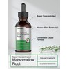 Horbäach Horbäach Marshmallow Root Extract Liquid | 2 fl oz