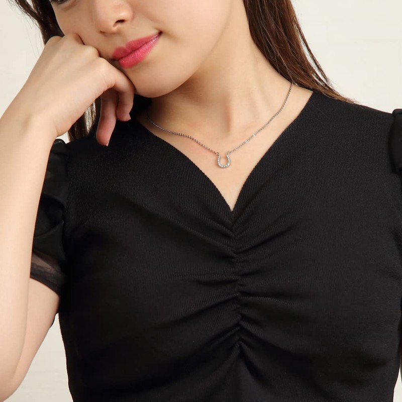 純チタン磁気ネックレス ピュアループオズ ホースシュー（プラチナカラー）45cm