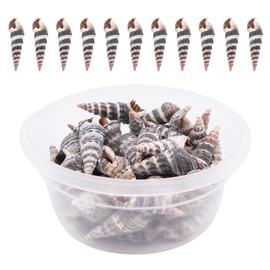 Julie Wang 90g About 140pcs Tiny Seashell Natural Beach Spiral Shells Craft Charms Mini Conch Sea Shell for Candle Making Home Decoration Ocean Themed Party Wedding Decor Fish Tank Vase Filler