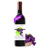 Chef Jean Pierre's Italian Balsamic Vinegar - 375ml (12.5oz) Rich