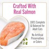 Purina Fancy Feast Petites Seared Salmon Entree With Spinach in