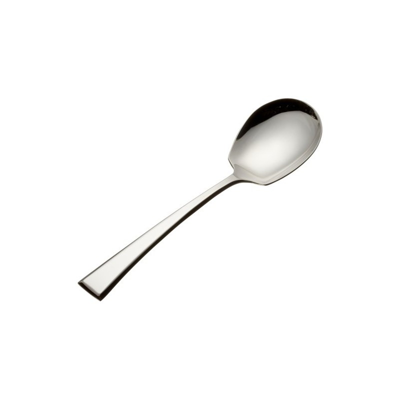 Yamazaki Epoch Serving Spoon