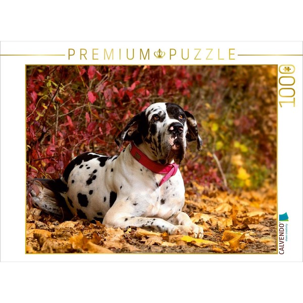 CALVENDO Great Dane - Gentle Giants