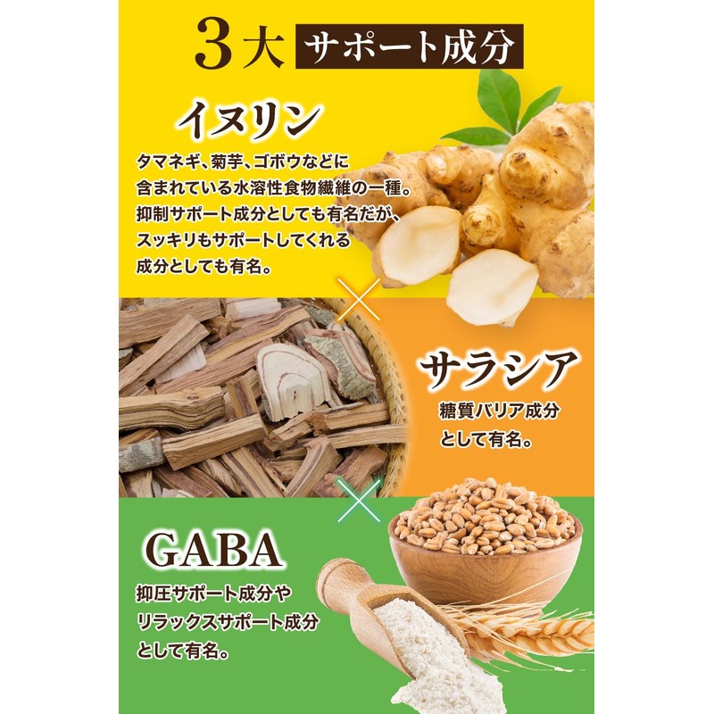 菊リッチEXトリプルケア イヌリン サラシア 菊芋 GABA 桑の葉 ウコン ナットウキナーゼ ラクトフェリン 30日分