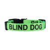 Native Pup Blind Dog Collar| Limited Sight Alert