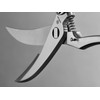 WÜSTHOF Poultry Shears 24.5 cm Total Length