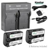 Kastar Dual Smart Fast Charger & 2 x Battery for