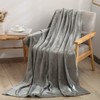BEDELITE Blanket, Semi-Double, Winter, Thick, Blanket, Winter Use, Knee Cover,