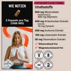 Milk Thistle Capsules with Artichoke, Turmeric, Dandelion and Desmodium, 80%