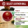 ONEGlobal Select Leather Cricket Ball | 100% Handcrafted, 156g -
