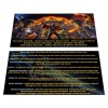 Chicago Gaming Medieval Madness Remake Pinball Custom Apron Instruction Cards