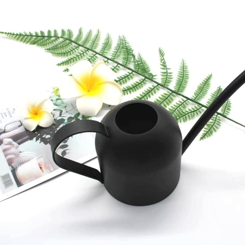 YISSSN Small Watering Can for Indoor Plants, 15oz/450ml Stainless Steel