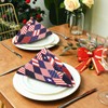 Pfrewn Memorial Independence Firework Cloth Napkins Set of 4 Patriotic