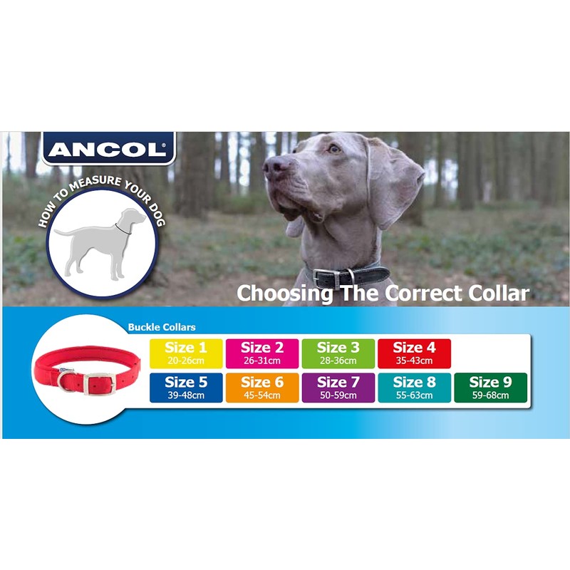 Ancol Timberwolf Bonded Thread Leather Sable Collar Pet Training Accessory