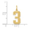 Solid 14k Yellow Gold Medium Number 3 Charm Brushed Matte