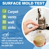 Mold Test Kit for Home – DIY Mold Detection for