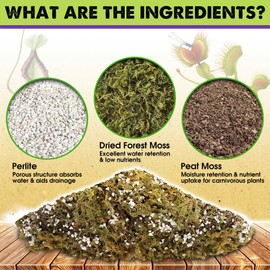 DUSPRO Carnivorous Plant Soil Mix 1.5QT-Include Forest Moss, Peat Moss, Perlite Potting Mix for Carnivorous Plants, Carnivorous Plants, Pitcher Plant, Butterworts, Sundews - Carnivorous Plant Food