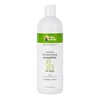 The Dodo Tearless Deodorizing Shampoo for Dogs, Summer Citrus with