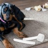 POPETPOP 10 pcs Doberman Dog Ear Posting Kit, Dog Ear