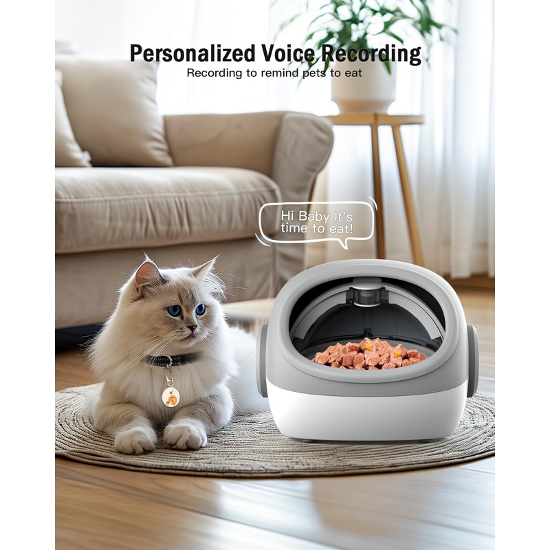 lesotc Automatic Cat Feeder, RFID Microchip Pet Feeder, Auto Cat