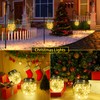 ROSHWEY Solar Lantern, 2 Pack Outdoor Lanterns with 30 LED