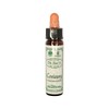 Ainsworths Original Dr. Bach Method Flower Essence Centaury 10ml