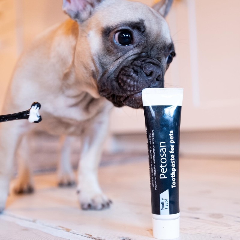 Petosan Dental Care Kit for Medium Dogs