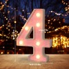 Light Up Number,Two Pink Glitter Number 40 Signs, Night Lights,
