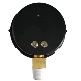 Pentair Replaces Pentair FNS Clean & Clear, 0-60 psi Pool Filter Pressure Gauge 190058