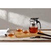 CNGLASS Glass Teapot with Removable Infuser,25oz Clear Tea Kettle with