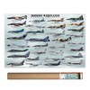 EuroGraphics Modern Warplanes Poster, 36 x 24 inch