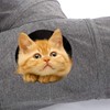 Ownpets Cat Tunnel, 3 Way Cat Tunnel with Play Ball,