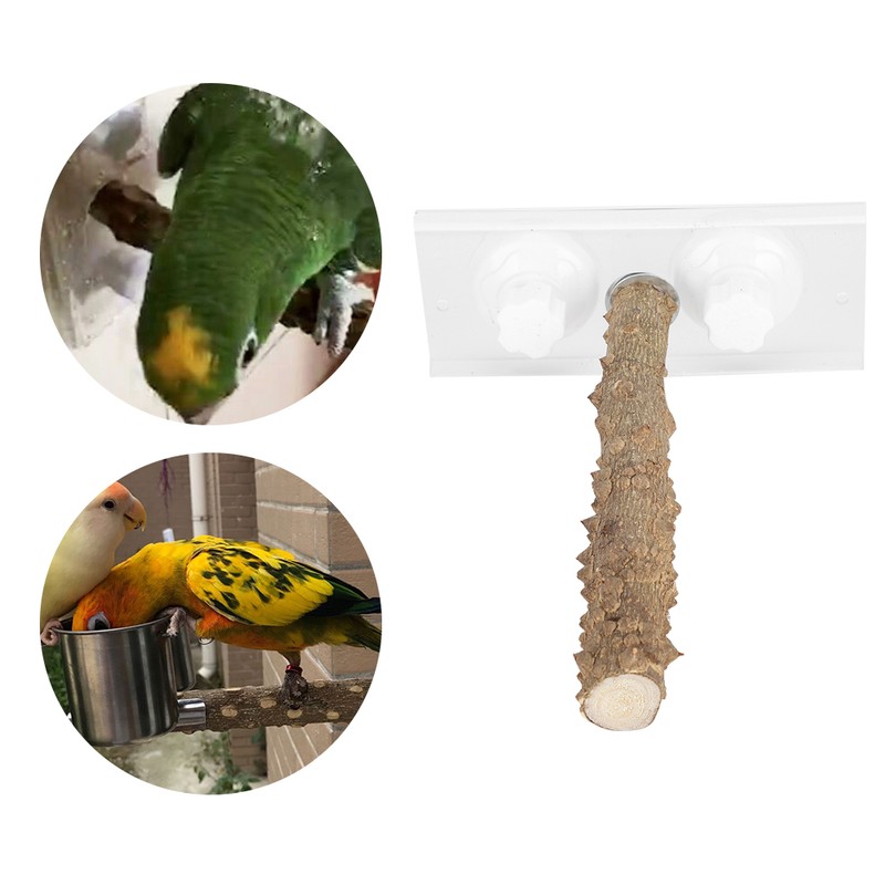 25CM Parrots Outdoor Portable Wood Standing Rod Pet Bird Shower