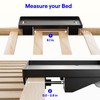 BedShelfie Bedside Shelf, Bunk Bed & Top Bunk, College Dorm