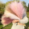 5 Pcs 27.6" Pampas Grass Decor Faux Dried Fluffy Fake