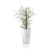 Eva Solo Self-Watering Flower and Herb Pots - Perfect for