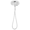 American Standard 9035254.002 Spectra+ Duo 4-Function 2-In-1 Shower Head, 2.5