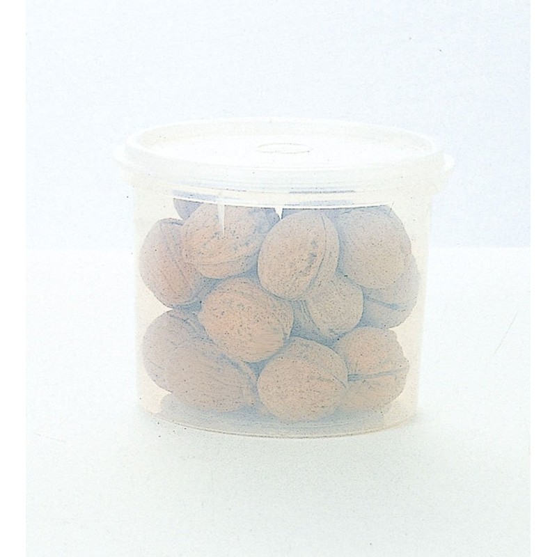 Iwasaki Industry Iwasaki Food Storage Container Clear 1.6L (M) Natural