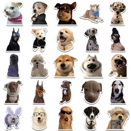 Pack of 50 Funny Meme Stickers Set, Meme Stickers for Car, Laptop, Skateboard, Bicycle, Moped, Motorcycle, Bicycle Computer, Suitable for Adults, Children (Dog)