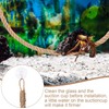 Hermit Crab Climbing Rope, 2Pcs Hermit Crab Climbing Jute Rope,Hermit