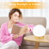 Deng Jr Daylight Lamp 10000 Lux, Simulation of Daylight, Flicker