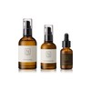 N organic Basic Skincare Set with Lotion, Emulsion, and Serum,