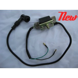 AZ MOTO Ignition Coil  50 cc 90 110 125CC Taotao SunL Coolster Roketa Kazuma zhen ATV