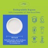 Urban Box Co 10-Inch Disposable Paper Plates, Heavy Duty, Compostable,