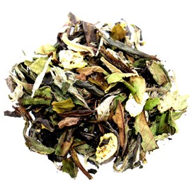 Nelson's Tea - Peach Tangerine - White Loose Leaf Tea - Green tea, white tea, and dried peaches -16 oz.