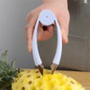 Pineapple Eye Remover,Multifunctional Stainless Steel Cutter and Fruit Corer,strawberry stem