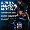 Applied Nutrition Critical Whey Protein Powder 450g - High Protein