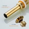 SWHYGER Bathroom Sink Drain Without Overflow Polished Gold,Bath Faucet Vessel